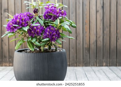 831开奖前后出现这些征兆预示好运将至 831开奖前后出现这些征兆预示好运将至