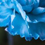 82444开奖结果最新公布,速来查看幸运号码! 6i5gcwx2f