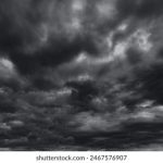 瑞丰集团:引领行业发展的创新企业典范 ixtjmd3