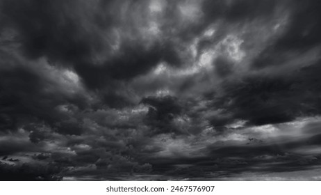 瑞丰集团：引领行业发展的创新企业典范