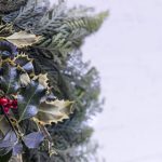 861开奖结果最新公布,今日幸运号码揭晓 l2g8909a8