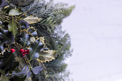 861开奖结果最新公布，今日幸运号码揭晓