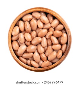 球速体育App的独特功能：如何帮助你实现运动目标