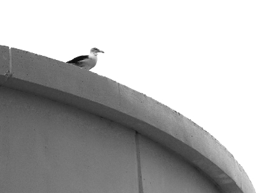 瑞丰品牌故事：从创立到辉煌的成长历程