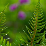 NBA电视直播节目表:最新赛程与精彩看点全览 05bllbgr2i