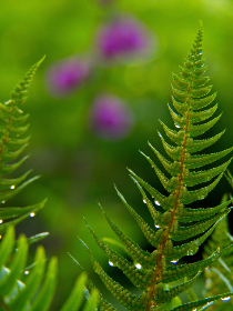 NBA电视直播节目表:最新赛程与精彩看点全览 NBA电视直播节目表:最新赛程与精彩看点全览