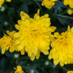 NBA现场直播吧:实时观看精彩对决,尽享篮球盛宴! m5y86hld