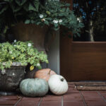 NBA百事通体育直播:每日精彩赛事全程高清放送 sd7yswwlv6