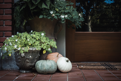 NBA百事通体育直播:每日精彩赛事全程高清放送 NBA百事通体育直播:每日精彩赛事全程高清放送