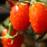 NBA火箭队高清直播360度全景观看火箭比赛 xqmi99